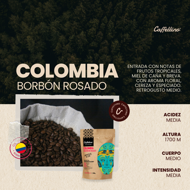 Café de especialidad Colombia Bourbon Rosado